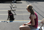 Dog Training & Obedience Classes